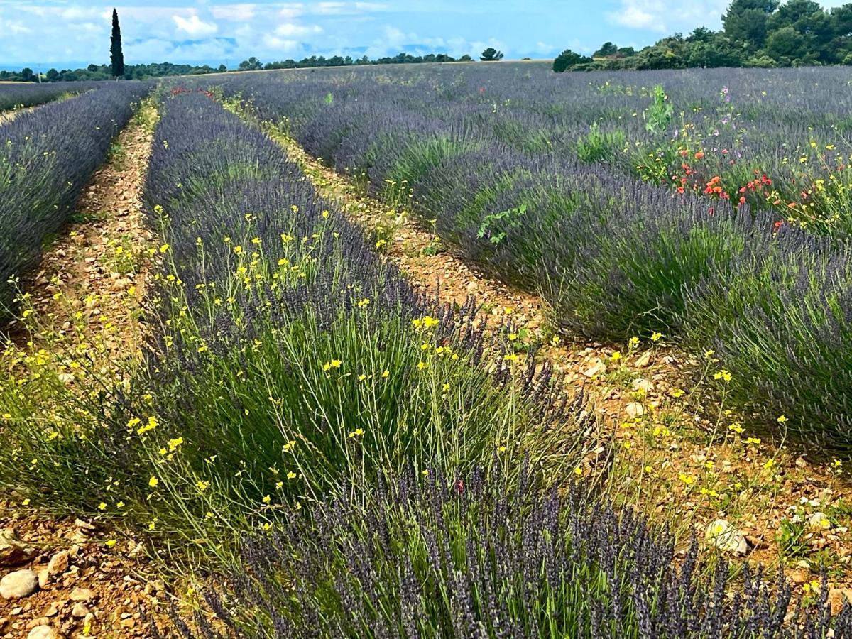 Gite Harmonie Gréoux-les-Bains Екстериор снимка